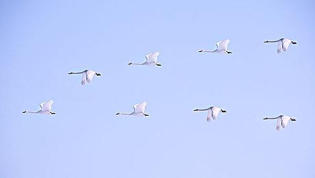 致敬经典回合制RPG新作《时之线》惊艳亮相